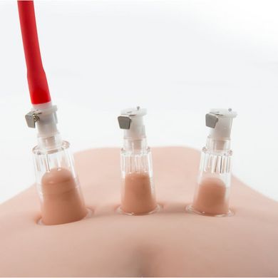 Вакуумна помпа для вагіни та сосків Blush Temptasia Clitoris Pleasure System